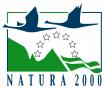 footer-logo