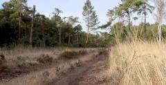 foto (c) Natuur en Bos foto (c) Natuur en Bos