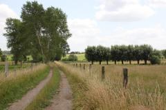 foto (c) website Rodeland