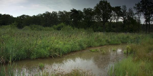 De Most (1) © Filip Van Boven