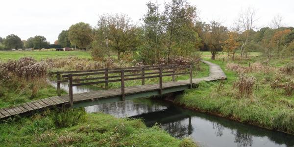 Grote Beek