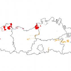 Vogelrichtlijngebieden voor Kleine zwaan. Rood: belangrijk broed-, trek- en/of overwinteringsgebied. Oranje: broed-, trek- en/of overwinteringsgebied met kleinere aantallen.