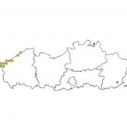 Verspreidingskaart (2007), Nauwe korfslak