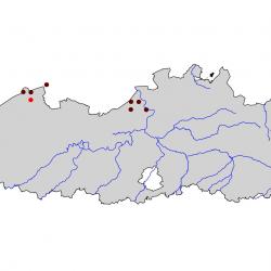 Verspreidingskaart Strandplevier. Kaart afkomstig van de atlas van de Vlaamse broedvogels van 2000 - 2002.