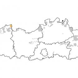 Vogelrichtlijngebieden voor Steenloper. Rood: belangrijk broed-, trek- en/of overwinteringsgebied. Oranje: broed-, trek- en/of overwinteringsgebied met kleinere aantallen.