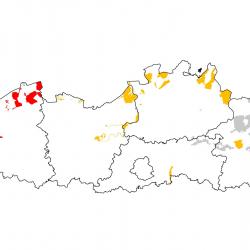 Vogelrichtlijngebieden voor Smient. Rood: belangrijk broed-, trek- en/of overwinteringsgebied. Oranje: broed-, trek- en/of overwinteringsgebied met kleinere aantallen.
