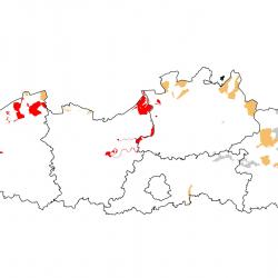 Vogelrichtlijngebieden voor Slobeend. Rood: belangrijk broed-, trek- en/of overwinteringsgebied. Oranje: broed-, trek- en/of overwinteringsgebied met kleinere aantallen.