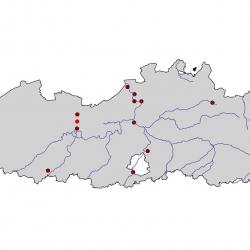 Verspreidingskaart Slechtvalk. Kaart afkomstig van de atlas van de Vlaamse broedvogels van 2000 - 2002.
