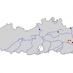Verspreiding van Roerdomp, broedvogelatlas 2000-2002