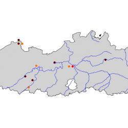 Verspreidingskaart Kwak. Kaart afkomstig van de atlas van de Vlaamse broedvogels van 2000 - 2002.