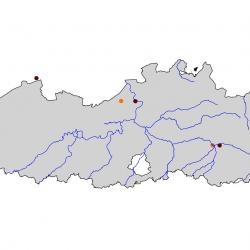 Verspreidingskaart Kleine zilverreiger. Kaart afkomstig van de atlas van de Vlaamse broedvogels van 2000 - 2002.
