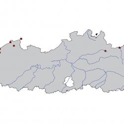 Verspreidingskaart Kleine mantelmeeuw. Kaart afkomstig van de atlas van de Vlaamse broedvogels van 2000 - 2002.
