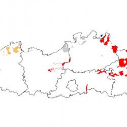 Vogelrichtlijngebieden voor Ijsvogel. Rood: belangrijk broed-, trek- en/of overwinteringsgebied. Oranje: broed-, trek- en/of overwinteringsgebied met kleinere aantallen.