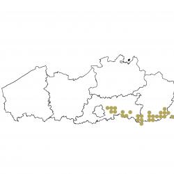 Verspreidingskaart (2007), Hamster