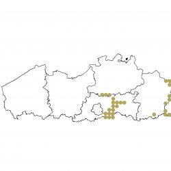 Verspreidingskaart (2007), Europese bever
