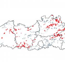 Kaart van de speciale beschermingszones voor: Oude zuurminnende eikenbossen op zandvlakten met Quercus robur