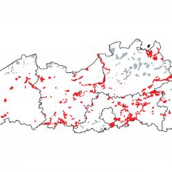 Kaart van de speciale beschermingszones voor: Sub-Atlantische en Midden-Europese Wintereikenbossen of Eiken-Haagbeukenbossen behorend tot het Carpinion betuli