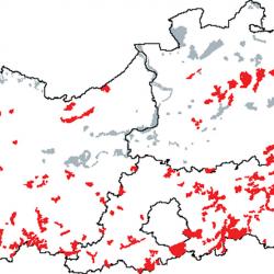 Kaart van de speciale beschermingszones voor: Atlantische zuurminnende beukenbossen met Ilex en soms ook Taxus in de ondergroei (Quercion robori-petraeae of ilici-Fagenion)