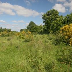 Gevaerts-Noord