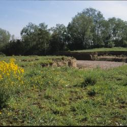 Winterbed van de Maas