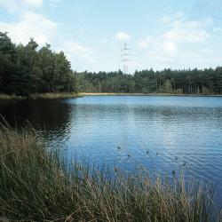 Dystrofe vennen