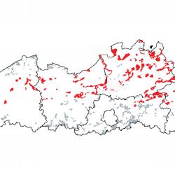 Kaart van de speciale beschermingszones voor: Open grasland met Corynephorus- en Agrostis-soorten op landduinen