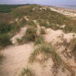 Paelsteenpanne te Bredene
