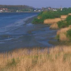 De Notelaer te Bornem-Hingene