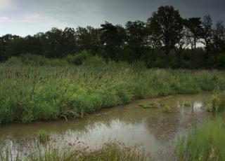 De Most (1) © Filip Van Boven
