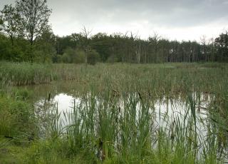De Most (3) © Filip Van Boven