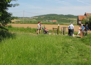 Eeuwenhout (c) Regine Vanallemeersch