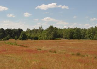 Eksterheide (10)