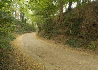 Chartreuse holle weg © Tom Linster