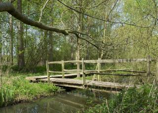 Grootbroek (1) © Paul Van Caesbroeck