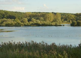 Grootbroek (3) © Paul Van Caesbroeck