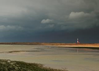 Ijzermonding © Tom Linster