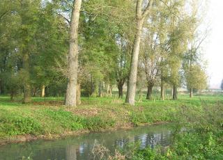 Jekervallei (3)