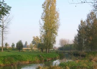 Jekervallei (1)