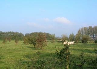 Jekervallei (2)