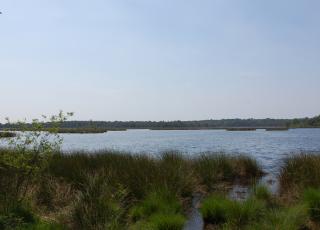 Kalmthoutse Heide (2) ©  An W.