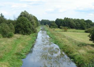 Kleine nete (2) © Eddy Vercammen