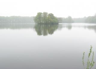 Kraenepoel