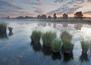 Vennen zone Kleine Schietvelden © Bernard Castelein