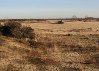 Landduinen (c) Karel Molenberghs