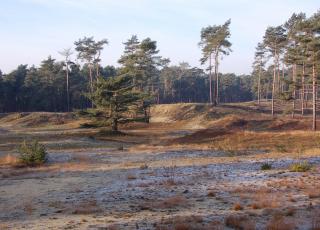MD Grobbendonk © An W.