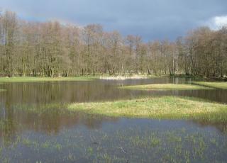 Poel op de Langendonk © Eddy Vercammen