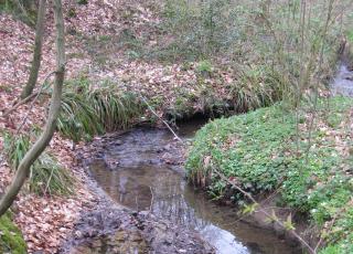 Sassegembeek