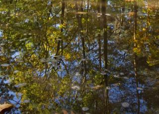 Schoonbeek (1) © Marc De Vos