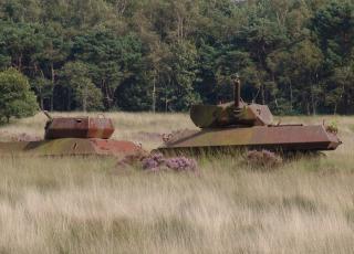 Tank in schietveld © Alex Van Mol