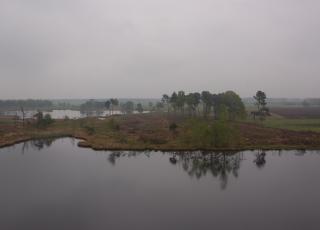 Turnhouts vennengebied (1)